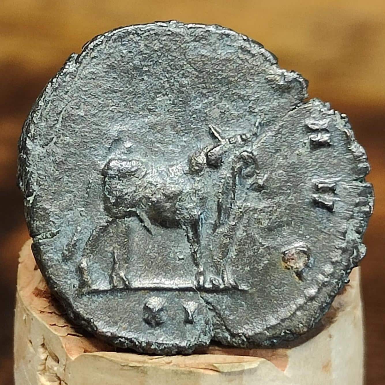 Gallienus Zoo series Roman coin, Oxen reverse, 3rd century ancient Antoninianus - VPUKcoins