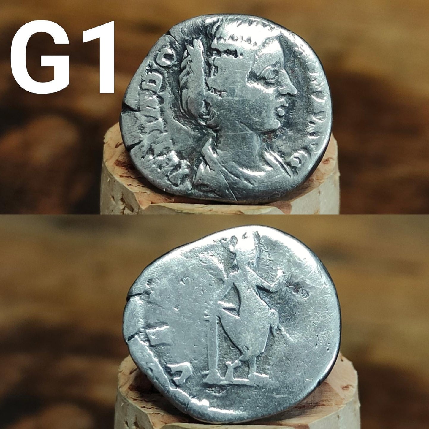 Genuine Roman silver Denarii from the 2nd century, ancient coins - VPUKcoins
