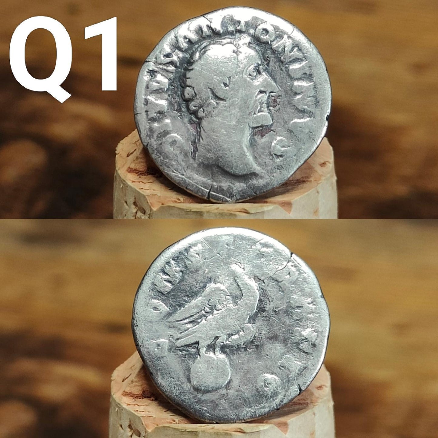 Genuine Roman silver Denarii from the 2nd century, ancient coins - VPUKcoins