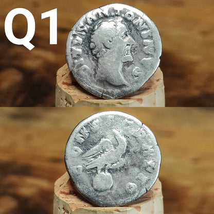 Genuine Roman silver Denarii from the 2nd century, ancient coins - VPUKcoins
