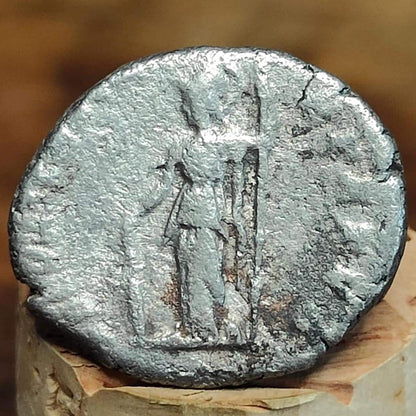 Geta Silver Denarius with Minerva reverse, Ancient roman coin from the Imperial empire - VPUKcoins