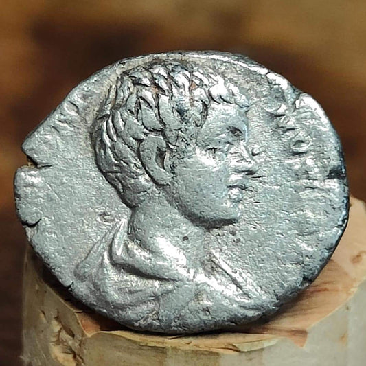 Geta Silver Denarius with Minerva reverse, Ancient roman coin from the Imperial empire - VPUKcoins