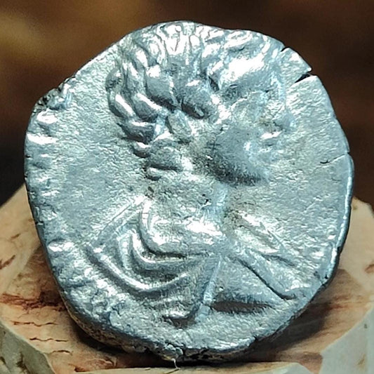 Geta Silver Denarius with Trophy reverse, Ancient roman coin - VPUKcoins