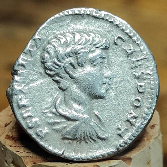 Geta Silver Denarius with Trophy reverse, Ancient roman coin from the Imperial empire - VPUKcoins