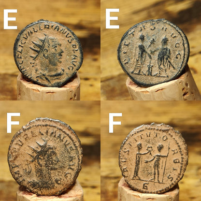 Very Fine Roman coins with sand patina, 3rd century ancient Antoninianus