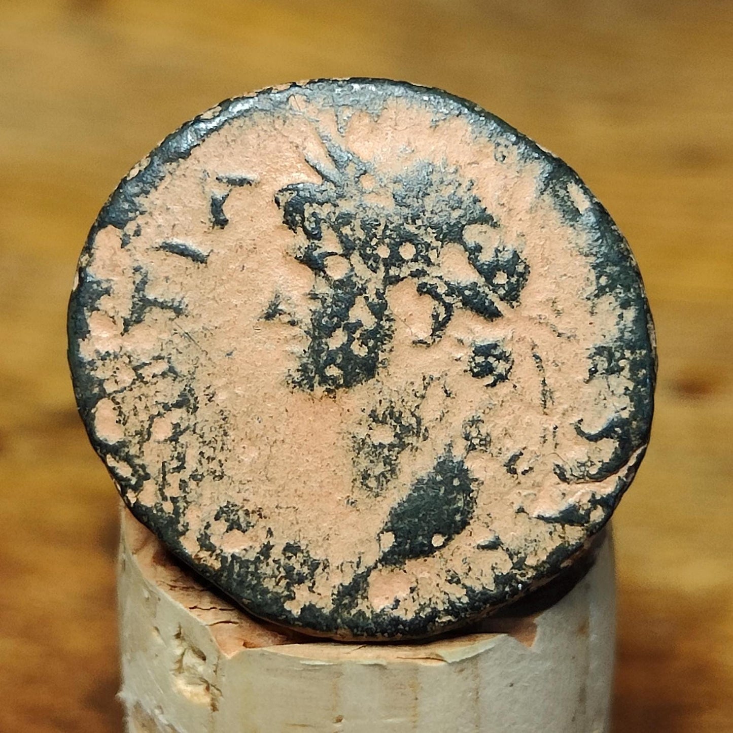 Genuine Domitian Roman Coin, Ancient Semis Provincial Issue