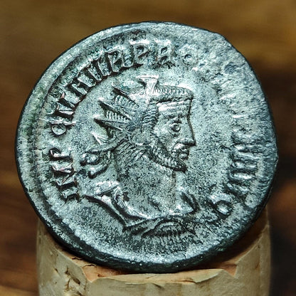 Genuine Roman Antoninianus of Probus, ancient double denarius coin
