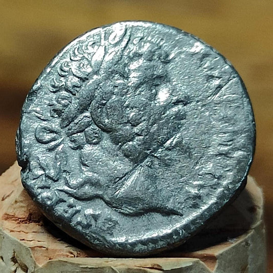 Septimius Severus Silver Denarius with Pax reverse, Ancient roman coin