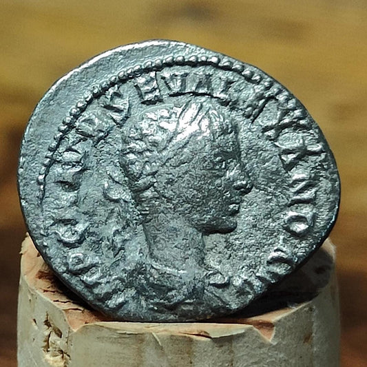 Severus Alexander Silver Denarius, Ancient roman coin with Roma reverse