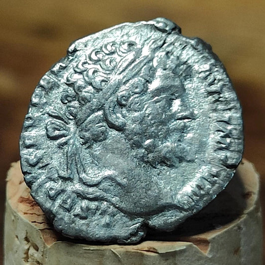 Septimius Severus Silver Denarius with Genius reverse, Ancient roman coin