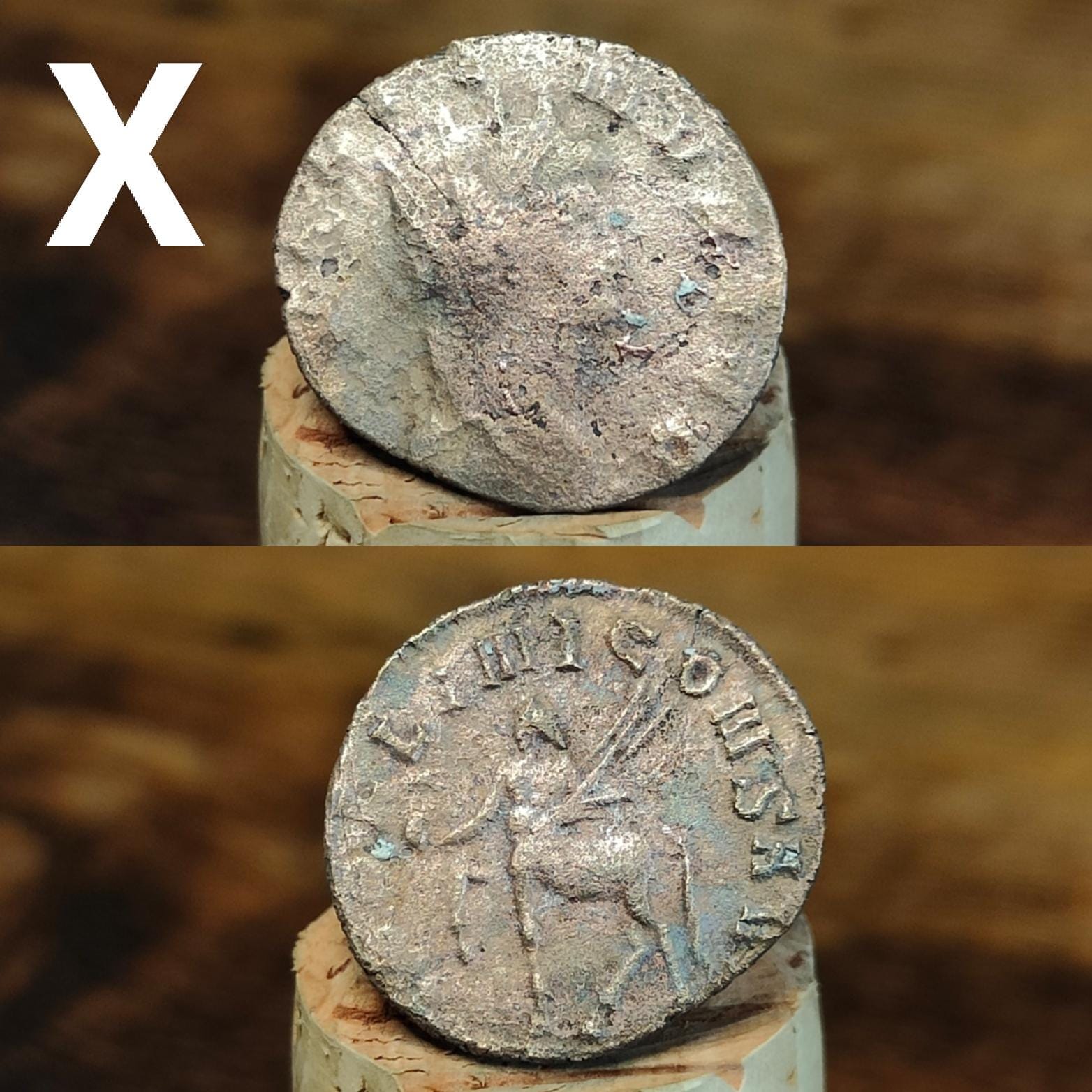 Cleaned Roman coins, ancient Nummus and Follis
