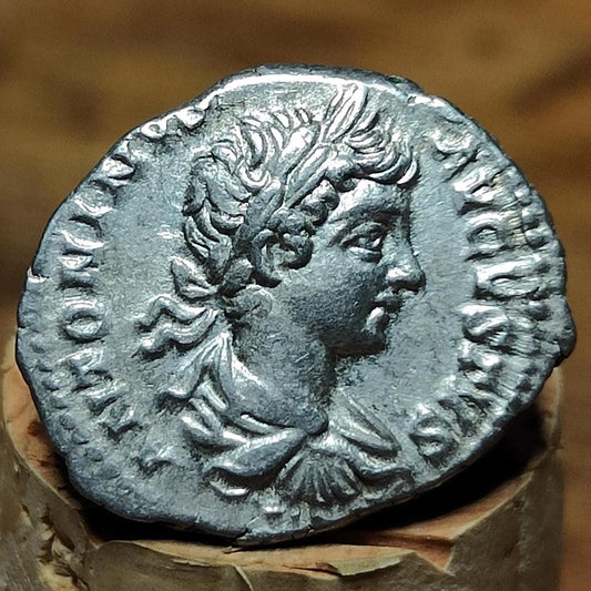 Caracalla Silver Denarius, Ancient roman coin with Sol reverse