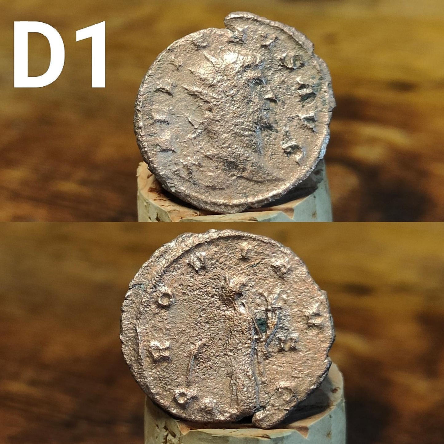Cleaned Roman coins, ancient Nummus and Follis