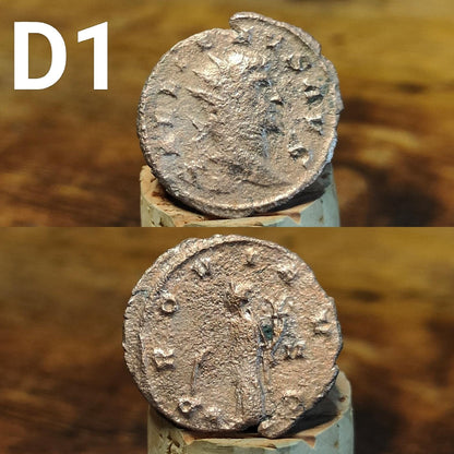 Cleaned Roman coins, ancient Nummus and Follis
