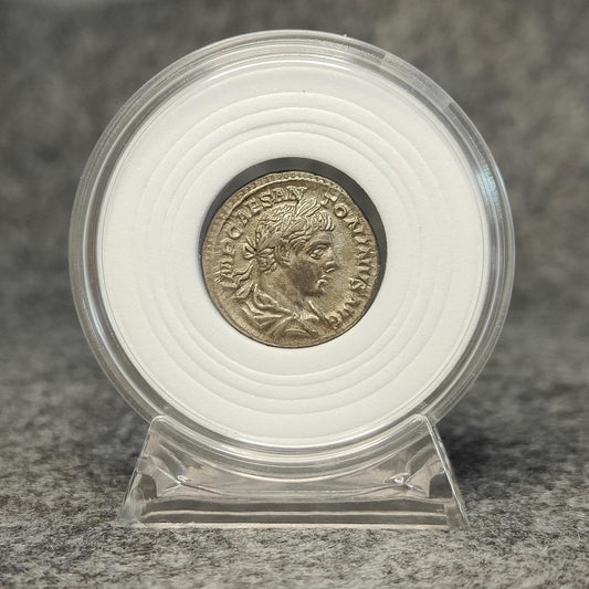 Coin Capsule Display case with stand and foam gasket