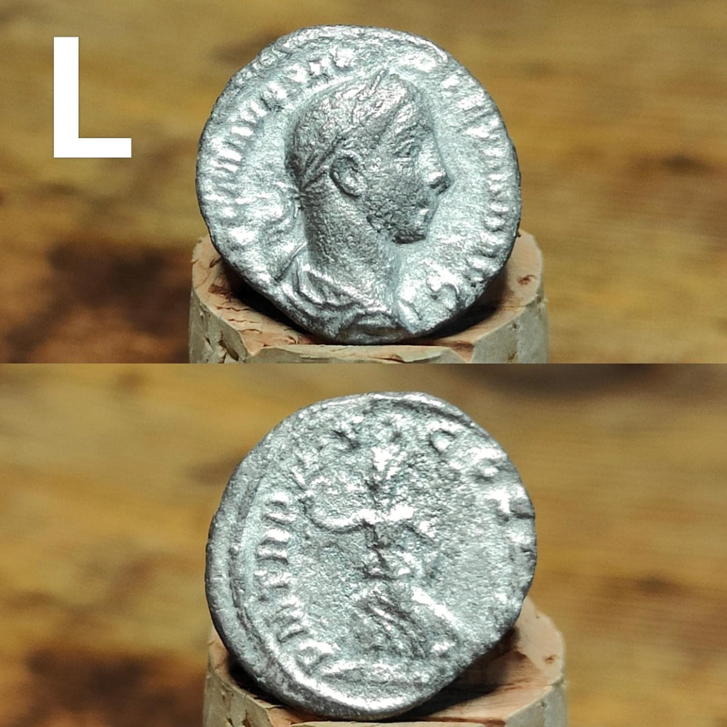 Roman Silver Denarius, Ancient roman coin