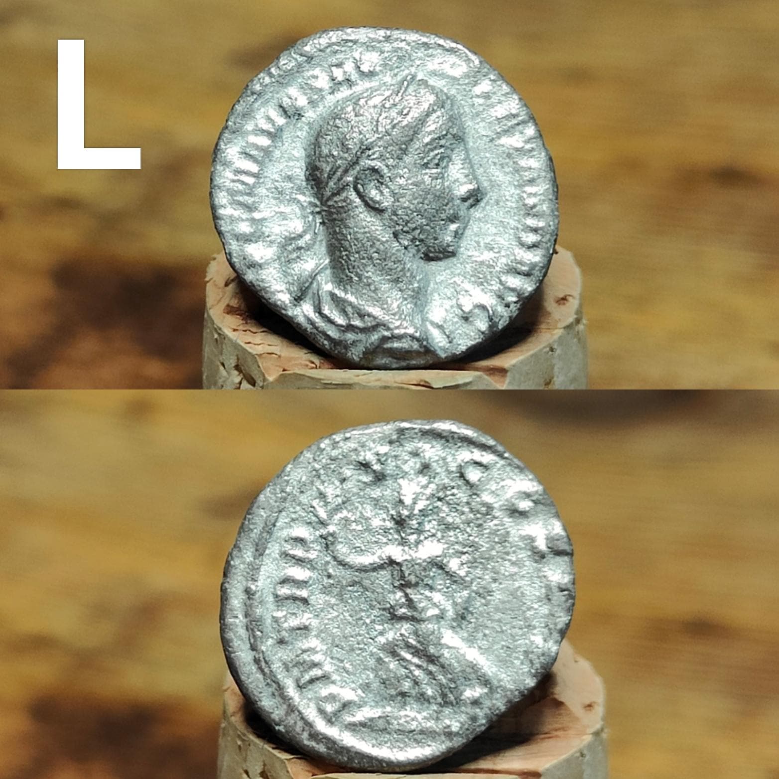 Roman Silver Denarius, Ancient roman coin