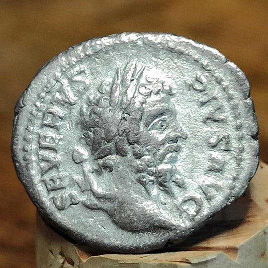 Septimius Severus with Liber reverse Silver Denarius, Ancient roman coin