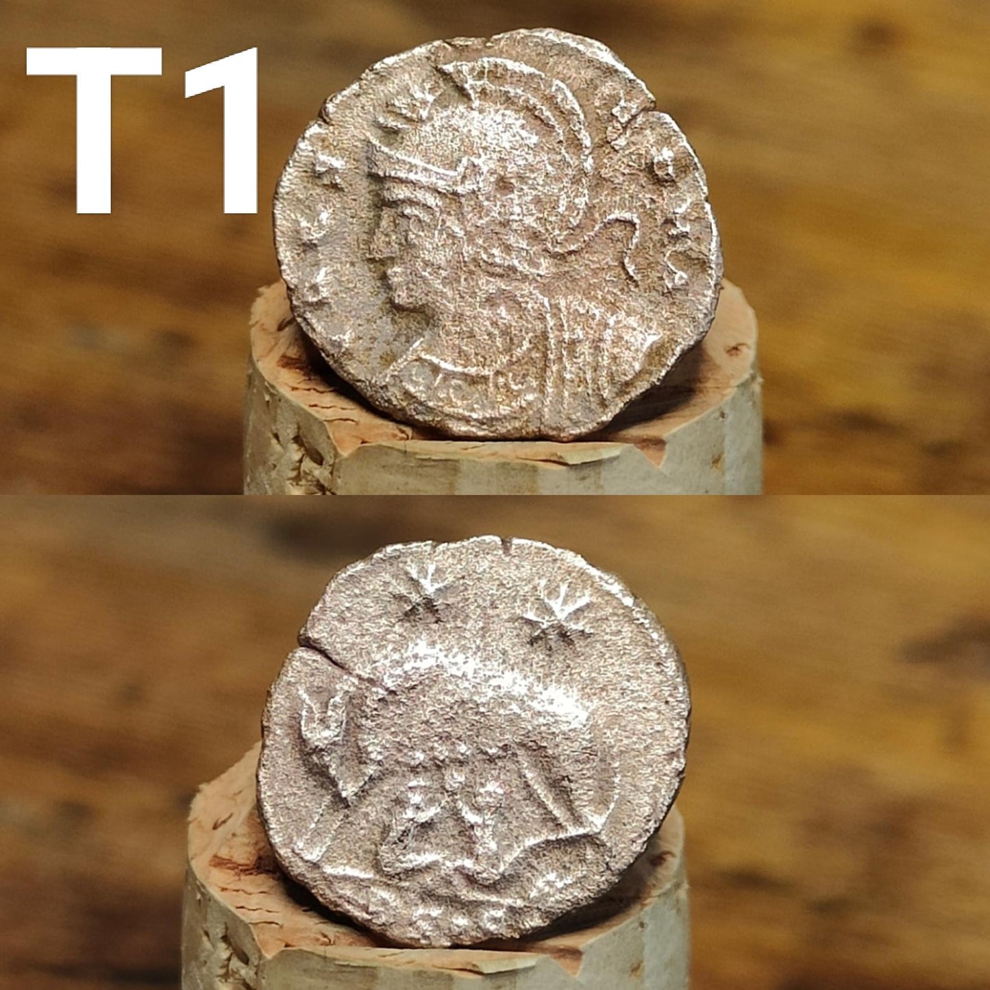 Cleaned Roman coins, ancient Nummus and Follis