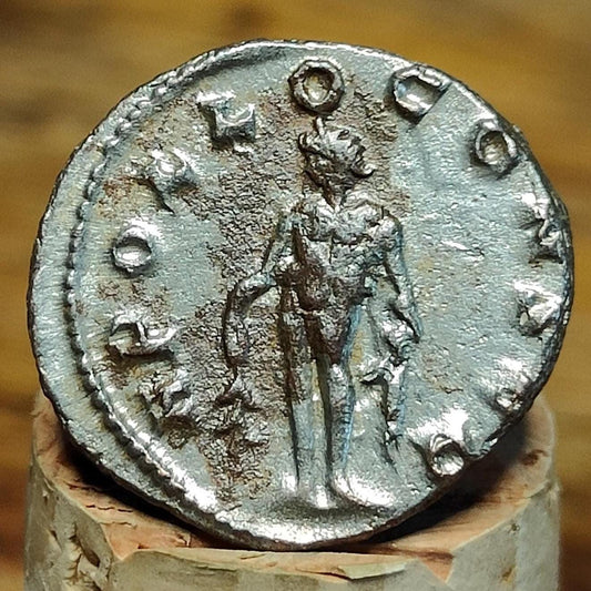 Emperor Gallienus, Apollo reverse Roman coin, 3rd century ancient Antoninianus