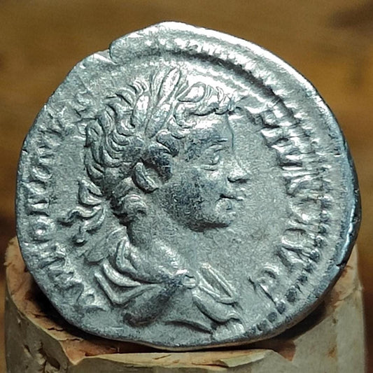 Caracalla Silver Denarius with Trophy reverse, Ancient roman coin