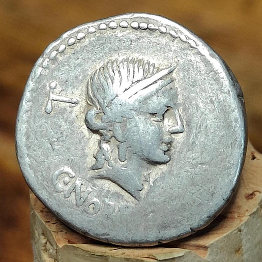 Roman Republic Silver Denarius C. Norbanus with Venus obverse, Ancient roman coin