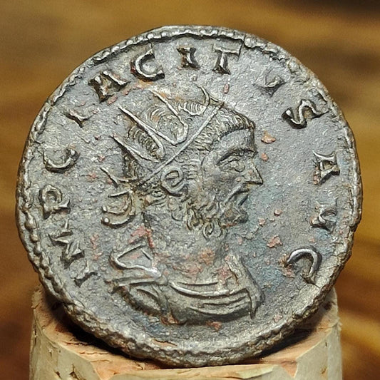 Tacitus Antoninianus, Jupiter reverse, high grade ancient roman double denarius coin