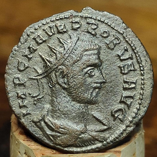 Probus Antoninianus, Jupiter reverse, ancient Roman double denarius coin