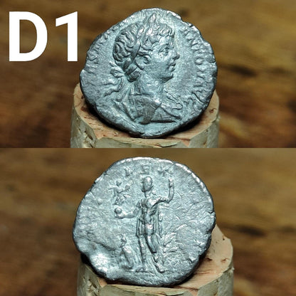 Authentic Roman silver Denarii featuring emperor of Rome, 1800 years old!