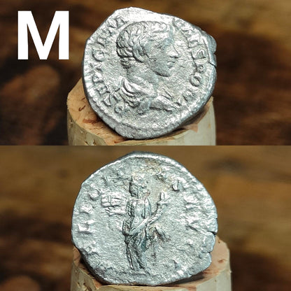 Authentic Roman silver Denarii featuring emperor of Rome, 1800 years old!