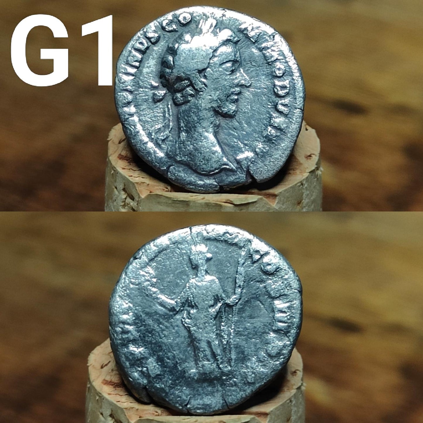 Roman Silver Denarius, Ancient roman coin