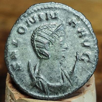 Salonina Roman coin, Juno reverse, 3rd century ancient Antoninianus
