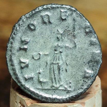Salonina Roman coin, Juno reverse, 3rd century ancient Antoninianus