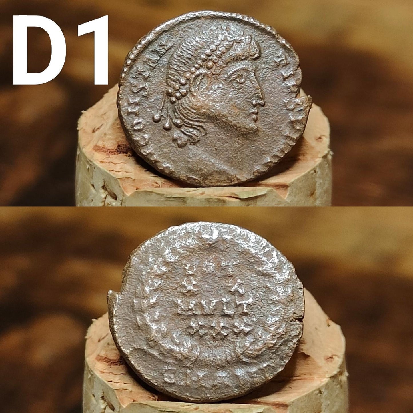 Cleaned Roman coins, ancient Nummus and Follis