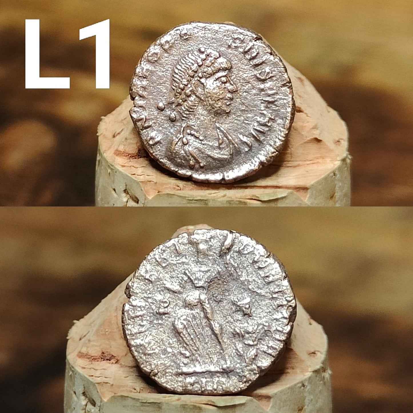 Cleaned Roman coins, ancient Nummus and Follis