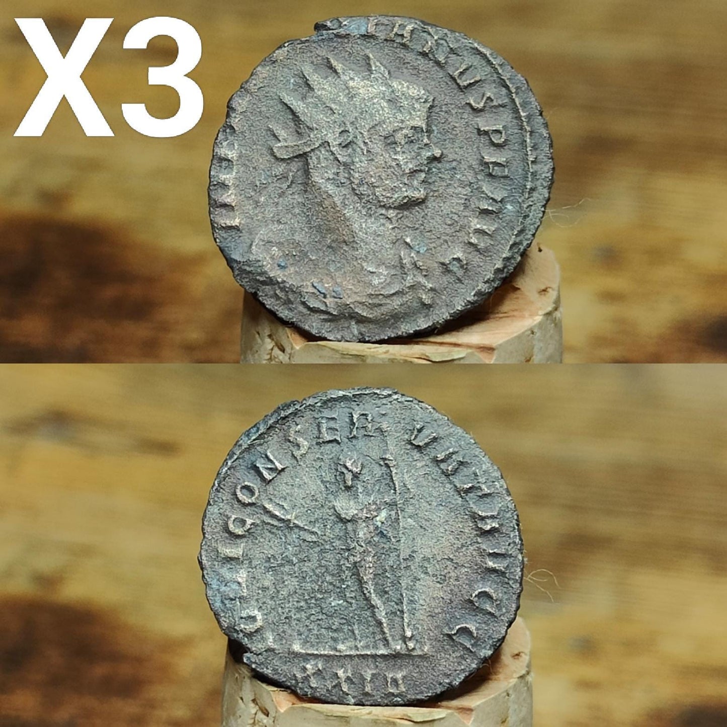 Cleaned Roman coins, ancient Nummus and Follis