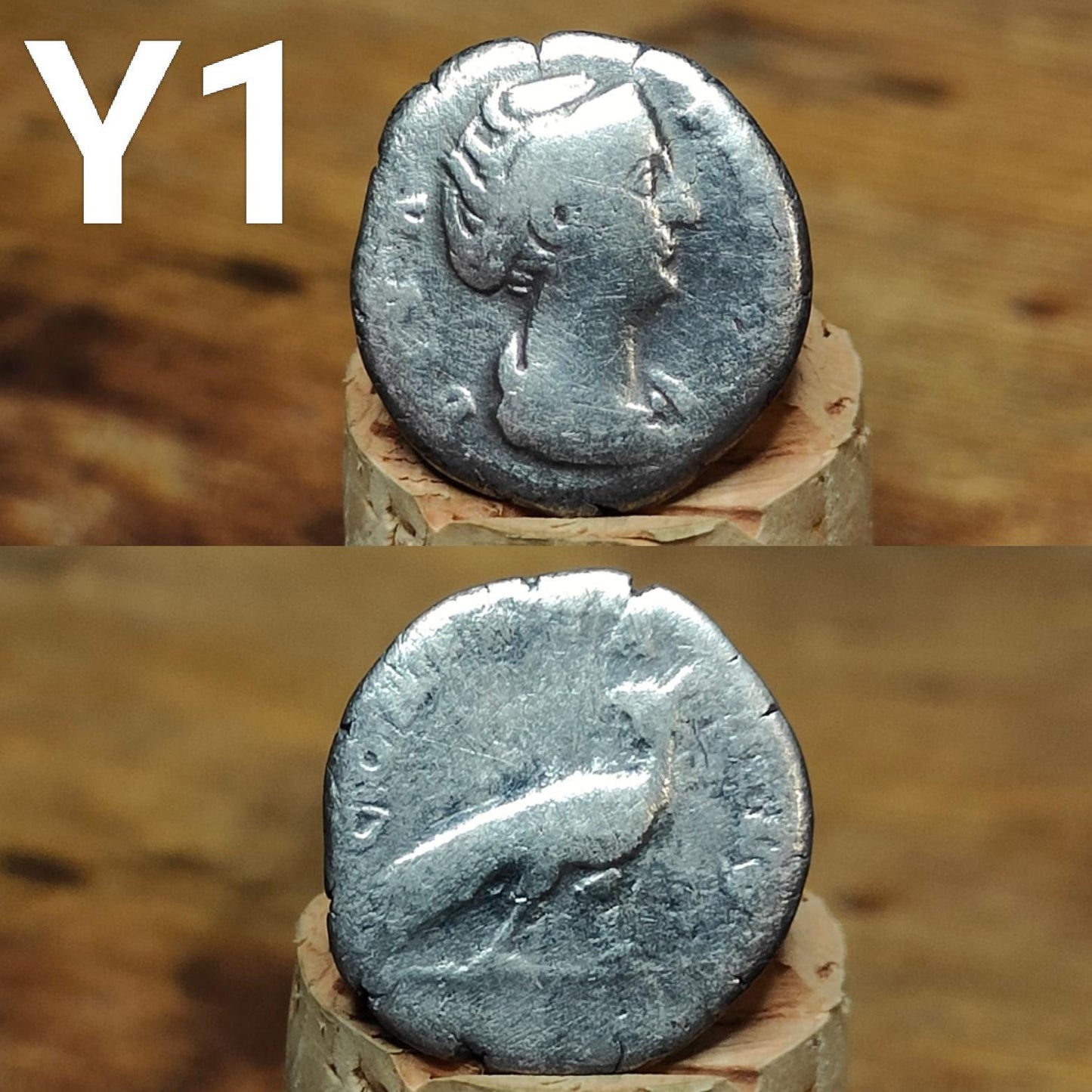 Authentic Roman silver Denarii featuring emperor of Rome, 1800 years old!