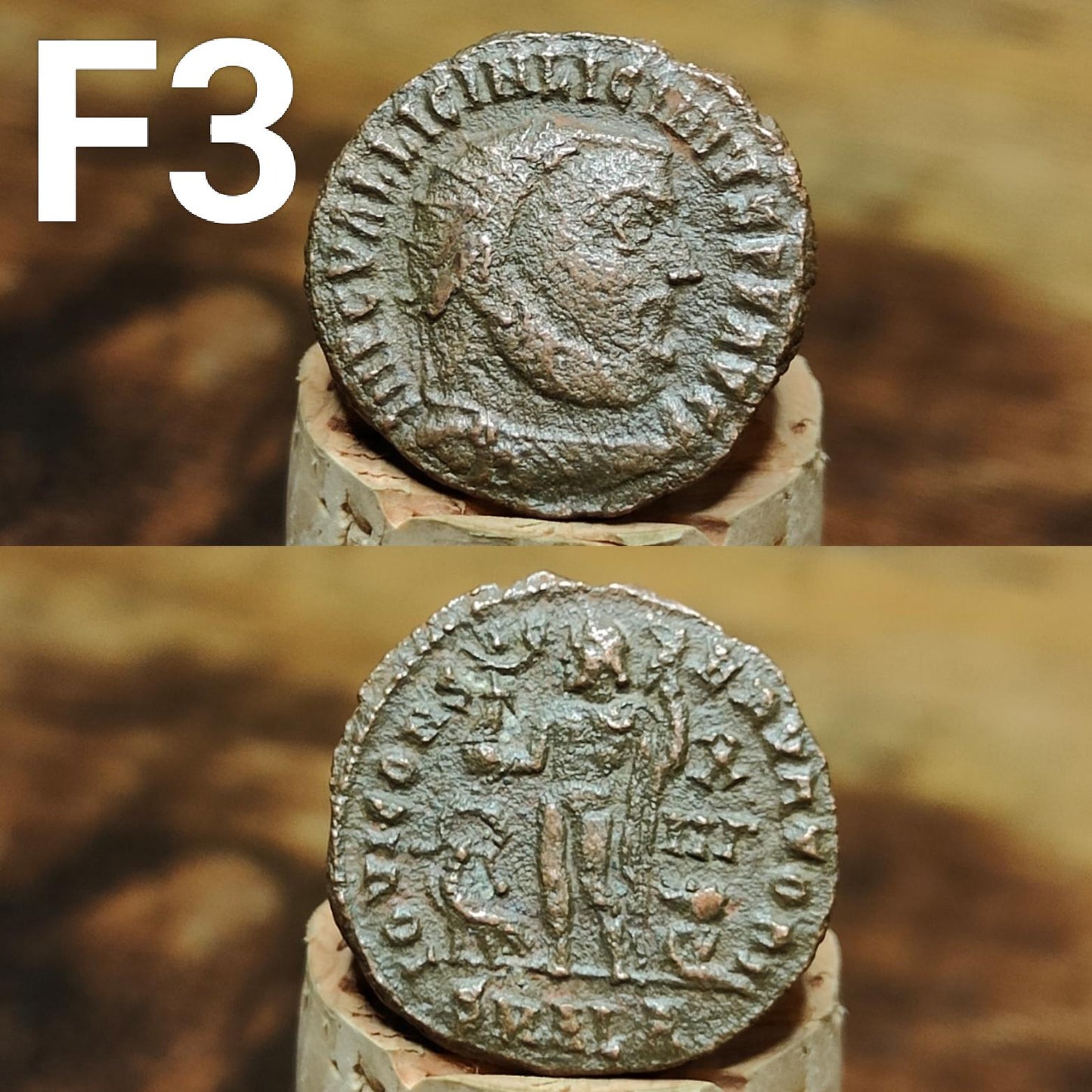 Cleaned Roman coins, ancient Nummus and Follis