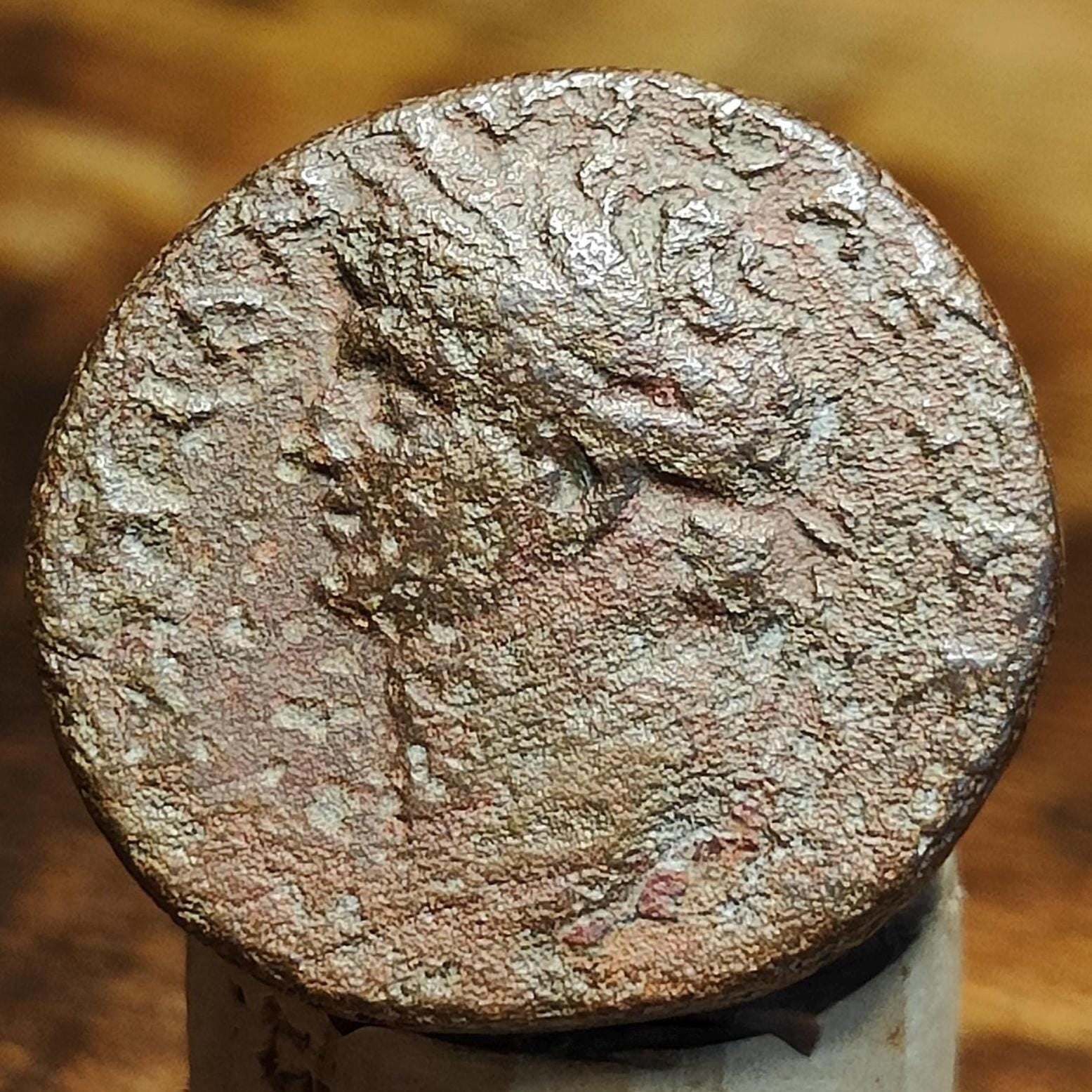 Large Domitian Roman Coin, Ancient Semis Provincial Issue