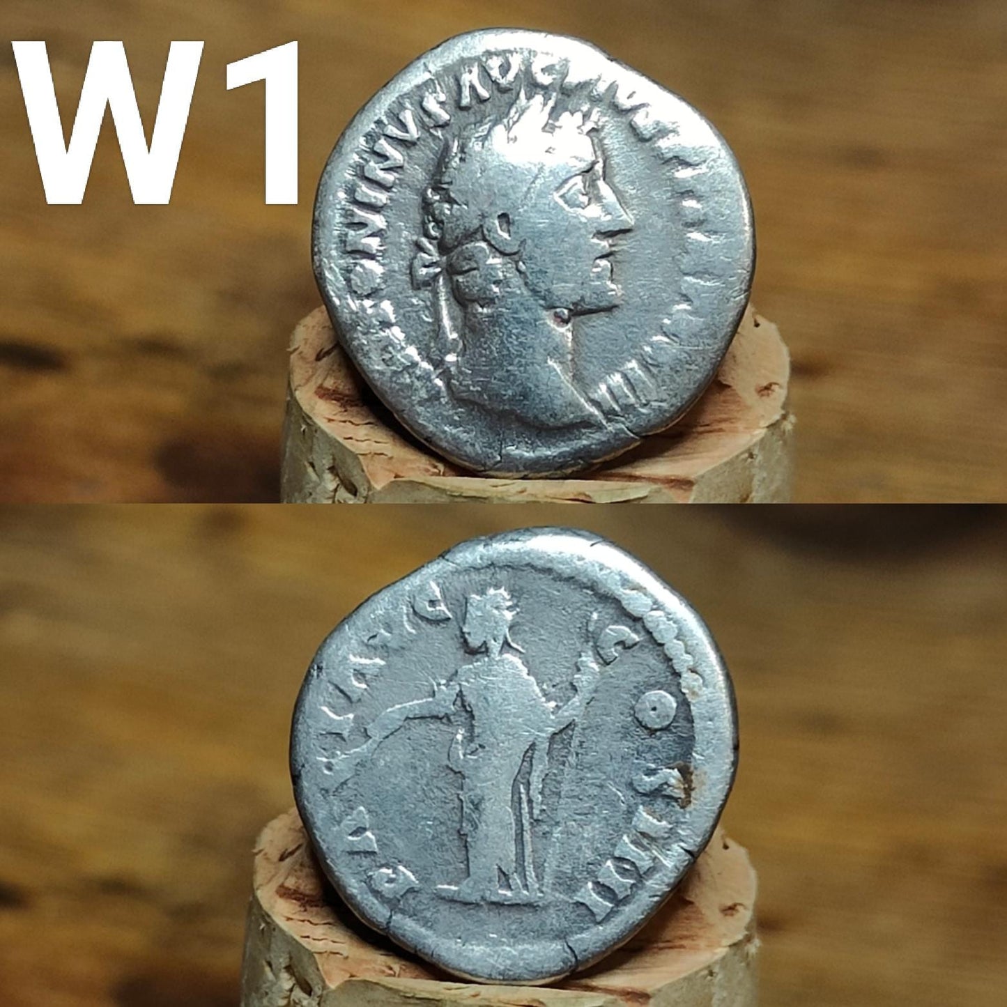 Authentic Roman silver Denarii featuring emperor of Rome, 1800 years old!