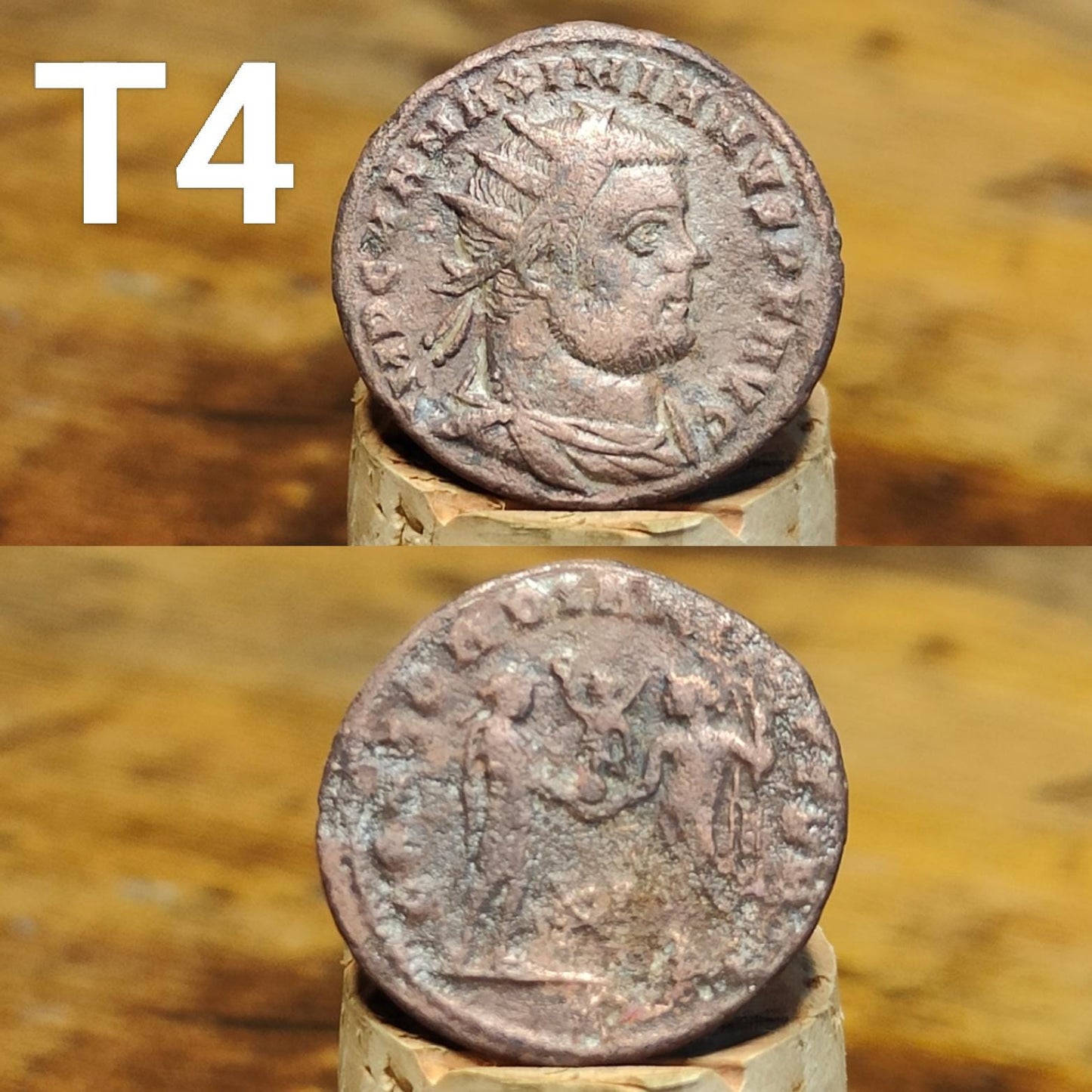 Cleaned Roman coins, ancient Nummus and Follis