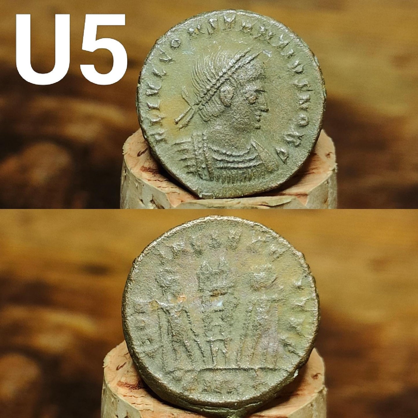 Cleaned Roman coins, ancient Nummus and Follis