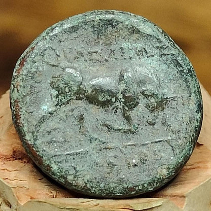 Kings of Syria, Seleucus I, Ancient Greek coin, 312-280 BC