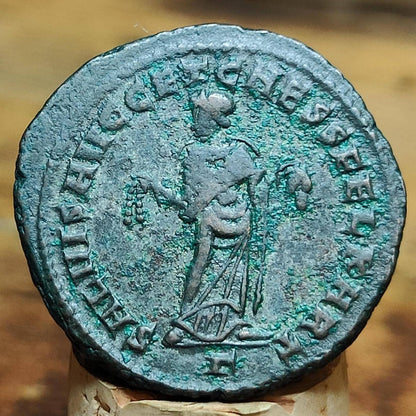 Constantius I Roman coin with Carthago reverse, AE1 3rd century ancient follis
