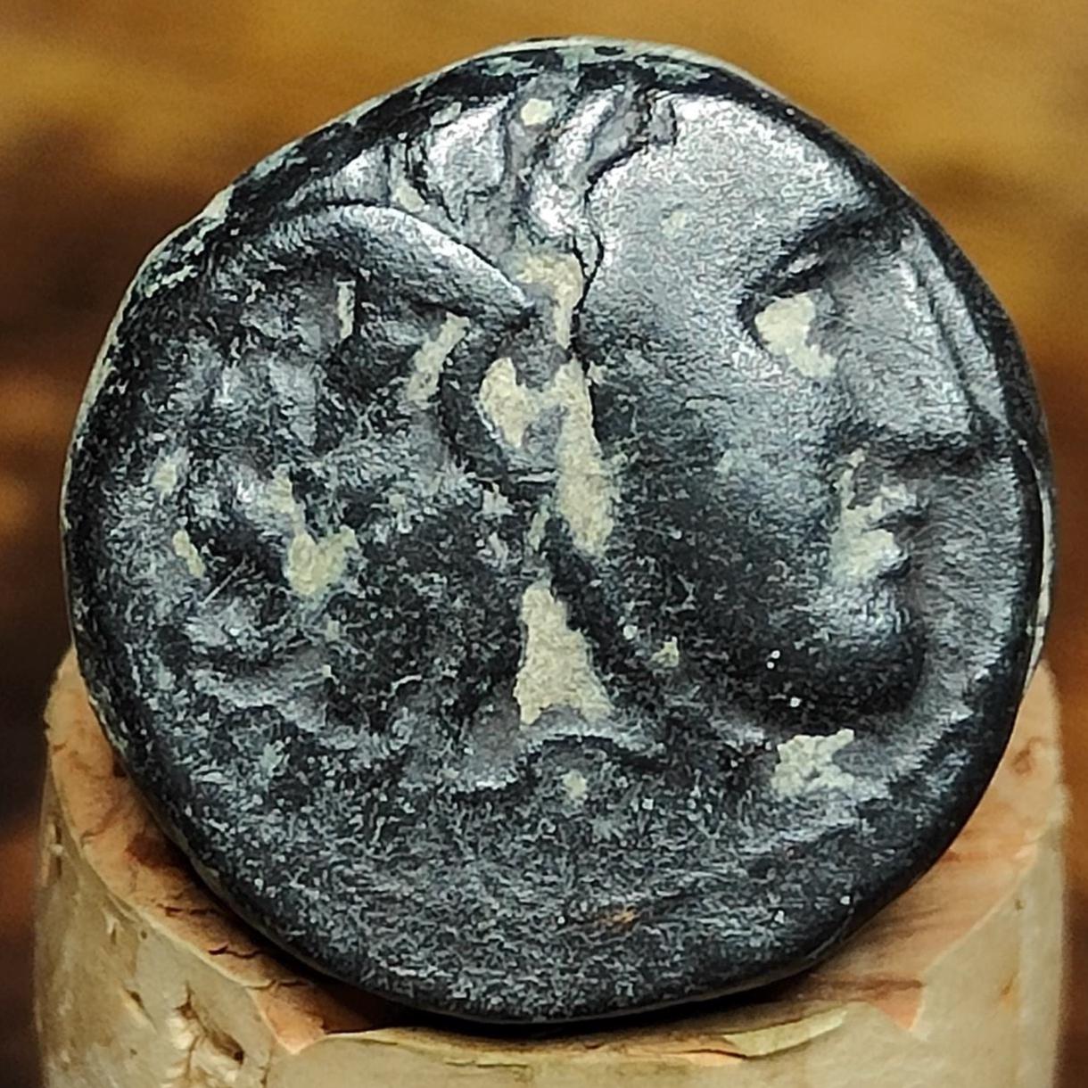 Kings of Syria, Seleucus I, Ancient Greek coin, 312-280 BC