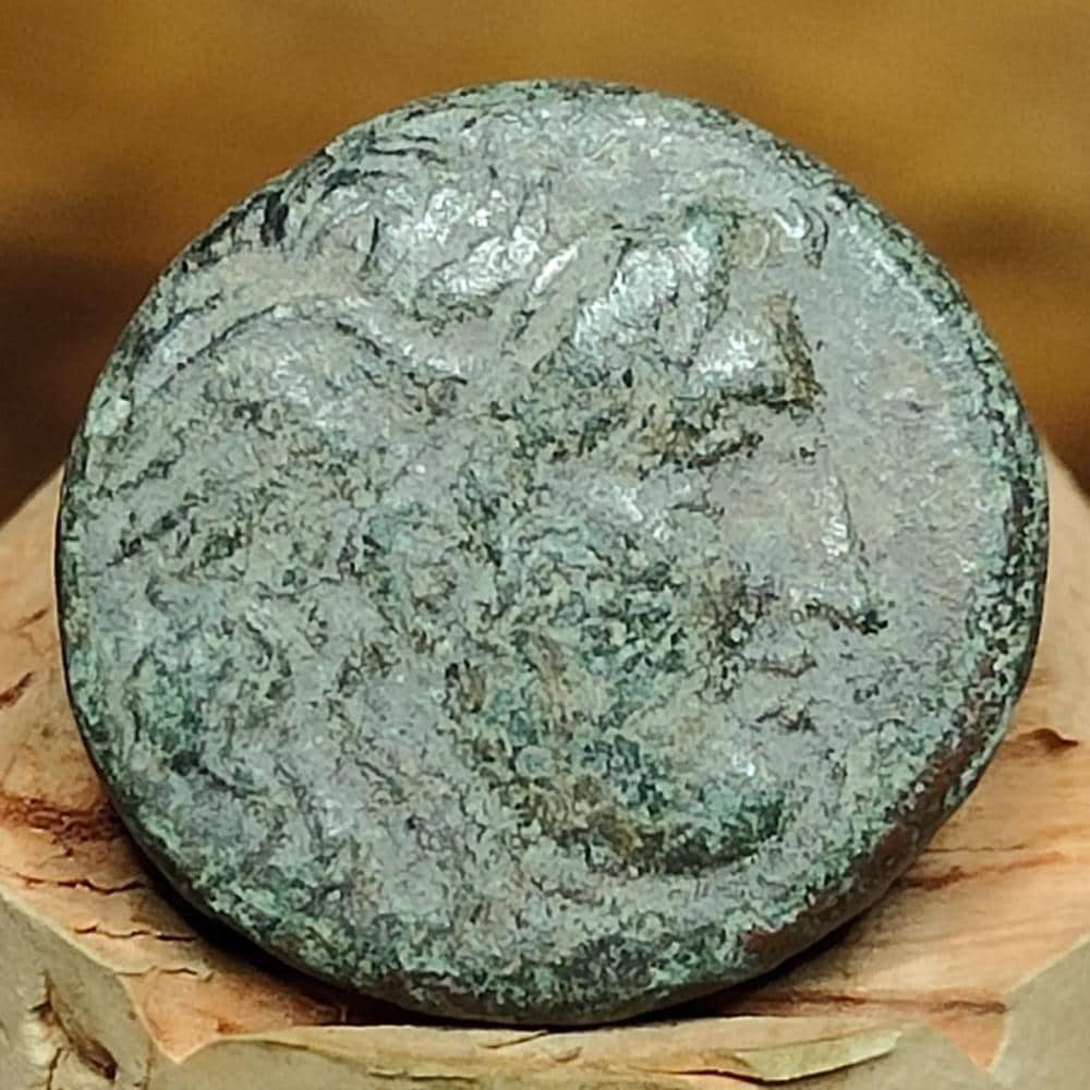 Kings of Syria, Seleucus I, Ancient Greek coin, 312-280 BC
