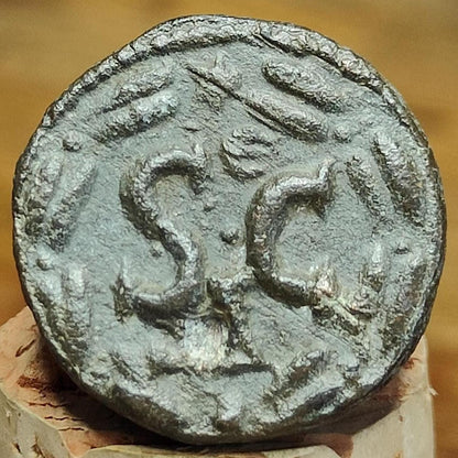 Macrinus provincial issue Roman Coin, 217-218 AD, Antioch, Ancient Semis