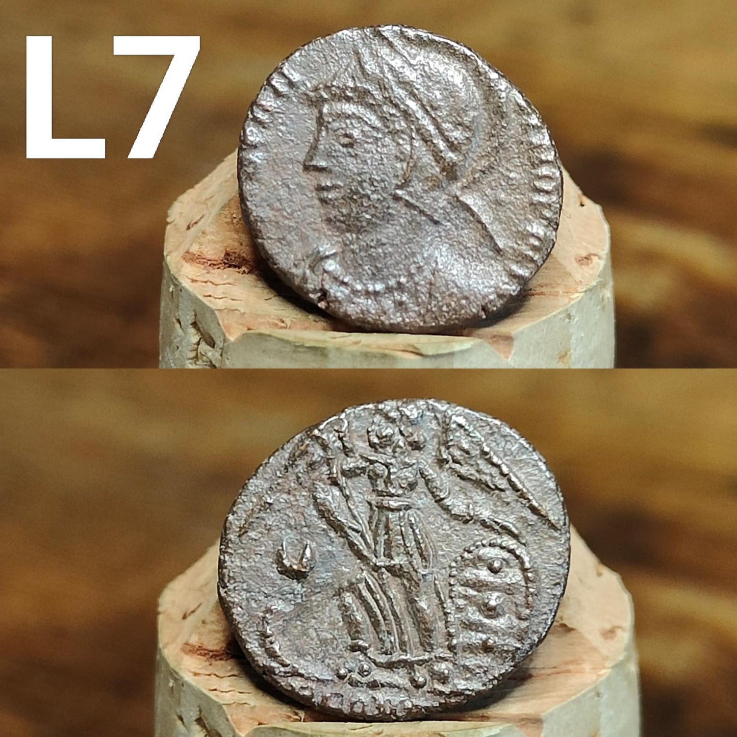 Cleaned Roman coins, ancient Nummus and Follis