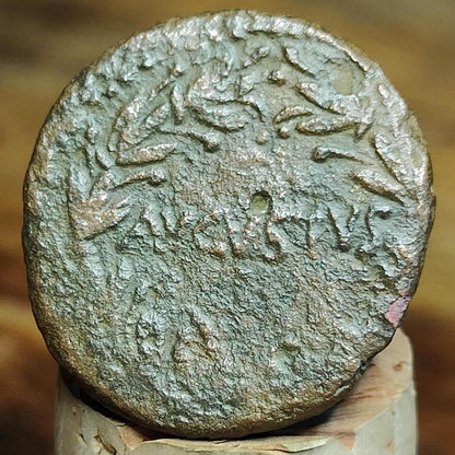 Augustus provincial issue Roman Coin, 27 BC-AD 14, Antioch, Ancient Semis
