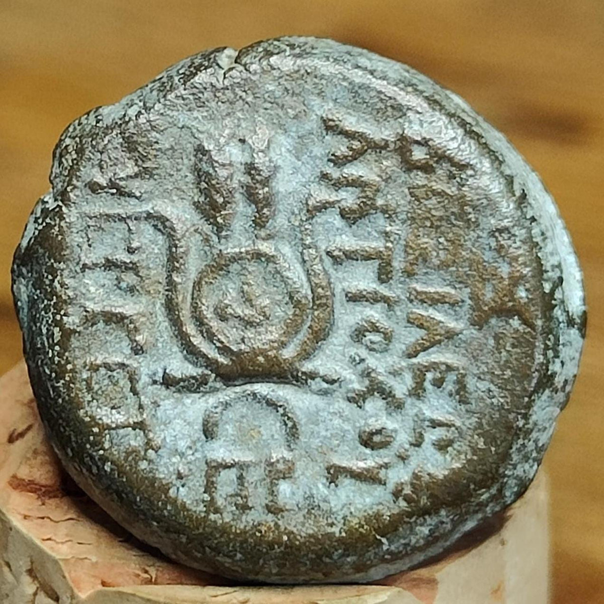 Antiochus VII Euergetes, Seleucid Kingdom, Ancient Greek coin 138-129 BC